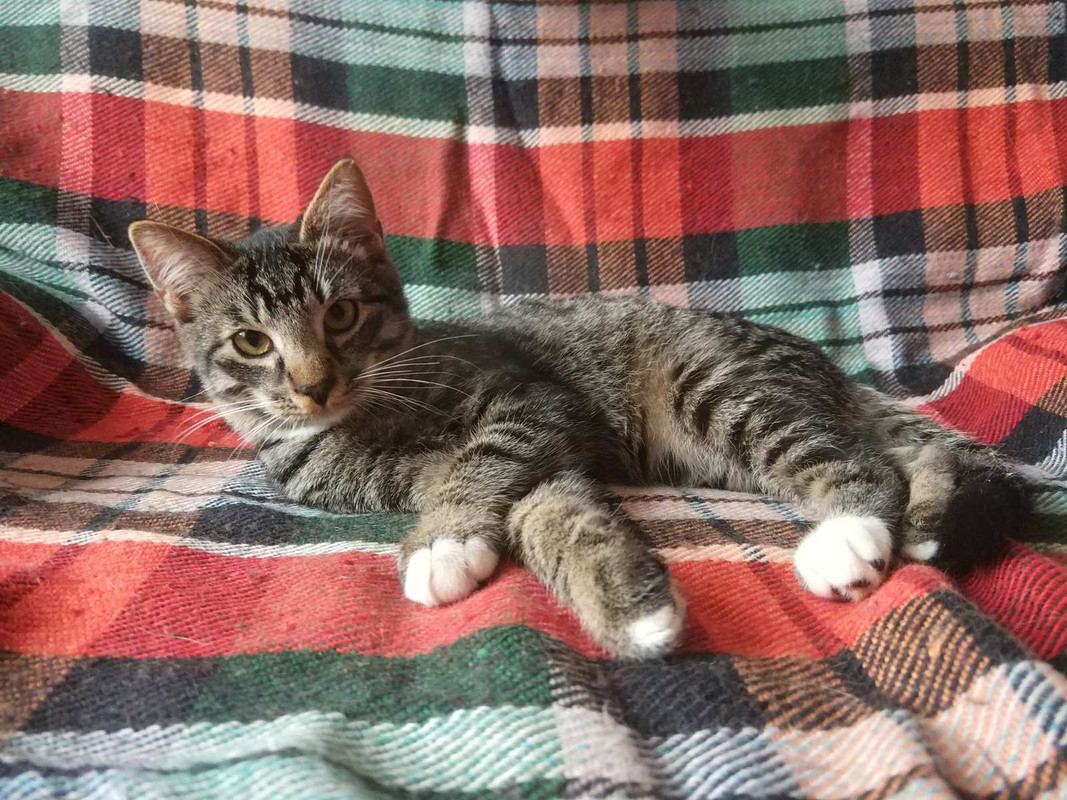 IMG-c0b2f77d7ed3dcb41e49a8b5e44cbfe9-V