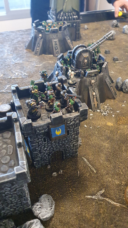 20211101_Salamanders_Taus (1)