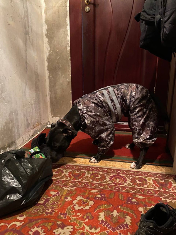 84E27203-636D-45E3-830C-8EE27AF220F7