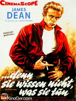 ... denn sie wissen nicht, was sie tun (1955)