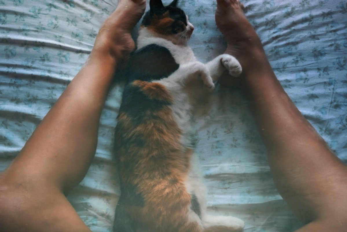 1-ello-xhdpi-009 (3)