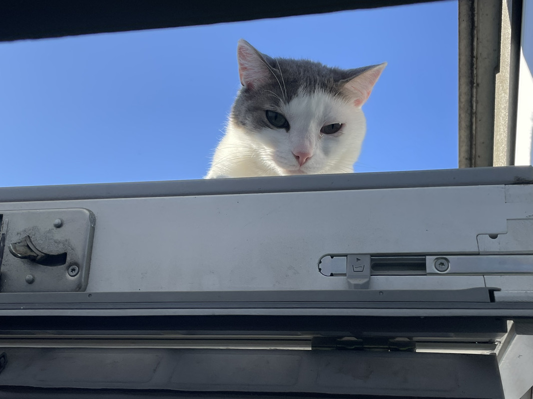 IMG-4d4ee1127f9122b0d2bf93a167f3f6be-V