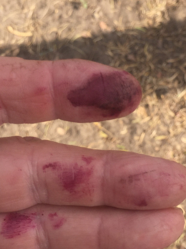 BD64C1C5-23B9-470E-A362-A159029E5D8D