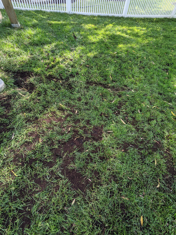 PXL_20210905_215108231