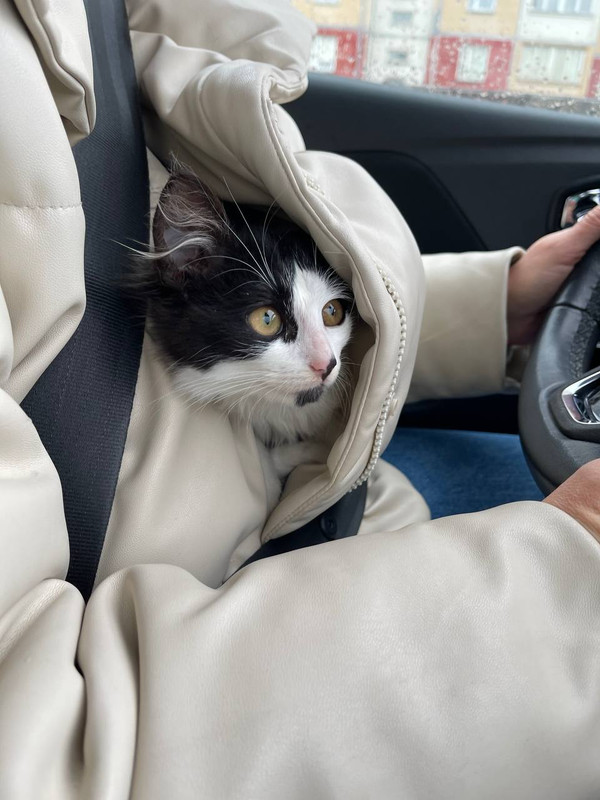 87610EAD-5A75-4DB8-AE90-D1A9AB2B0305