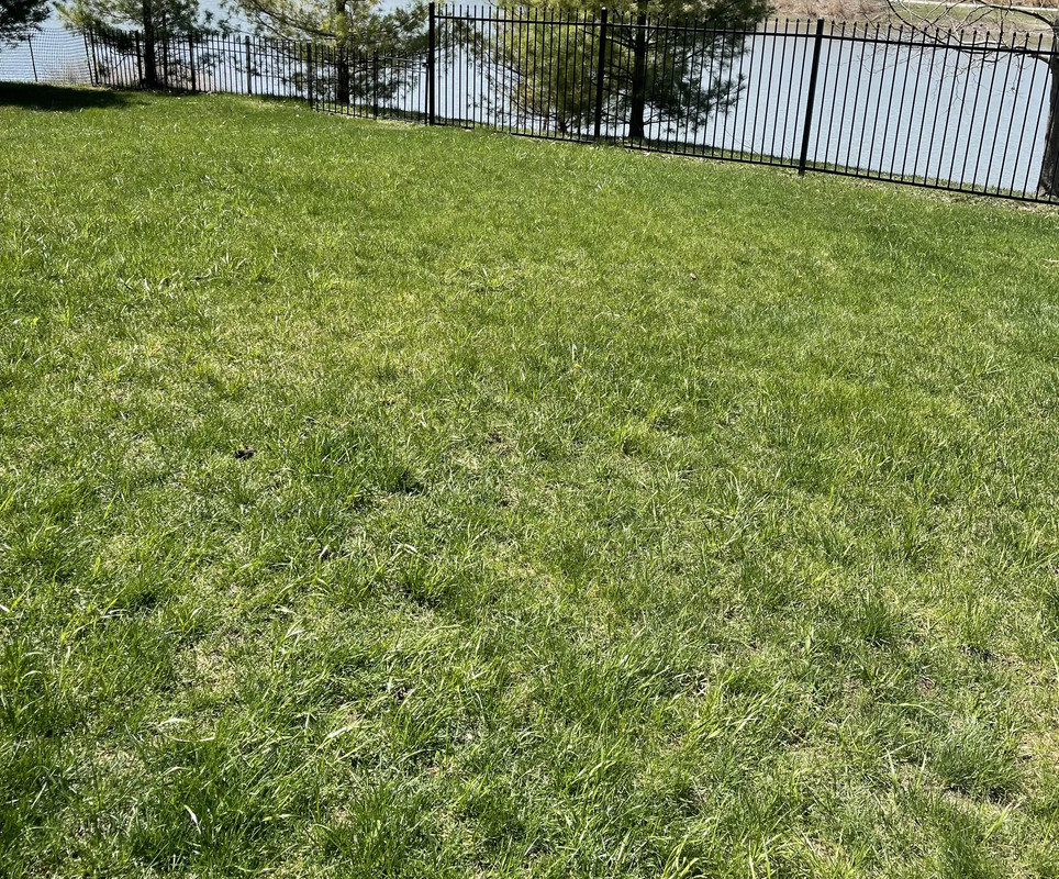 9DE39904-2D9A-4D57-B991-C67A756DADDA