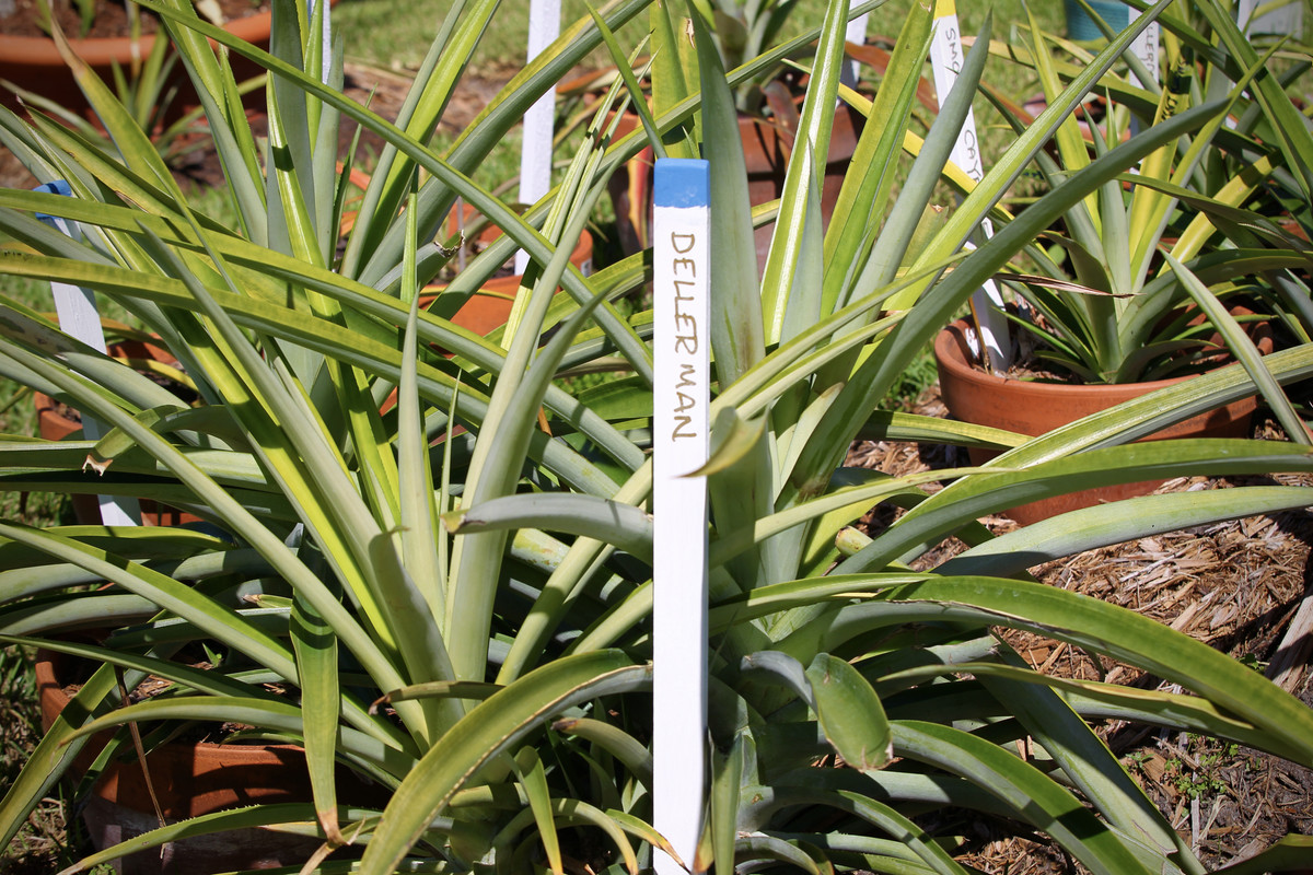 6A56C02C-FBBC-4830-8C35-9E32CC302EA6_1_201_a