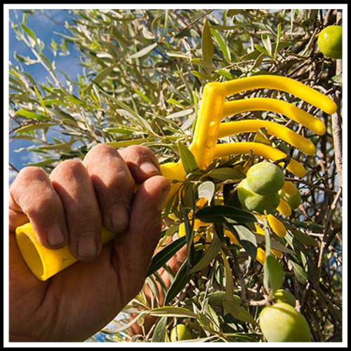 RASTRELLO PETTINE A 9 DENTI PER RACCOLTA OLIVE MANDORLE GUANTI DA LAVORO IN NITRILE