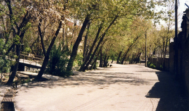 فیلمها و برنامه های تلویزیونی روی طاقچه ذهن کودکی - صفحة 16 Foto-by-59-02-730-1375