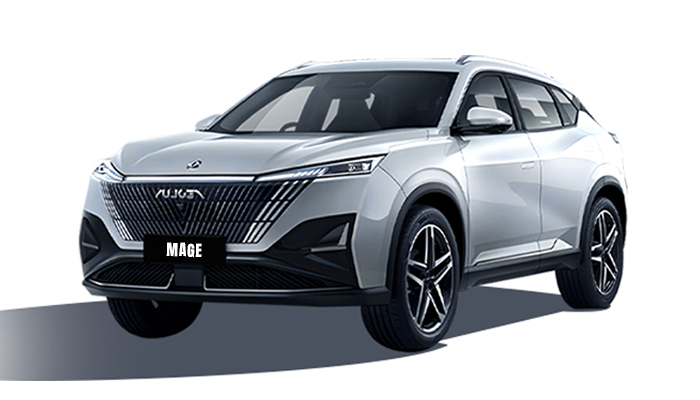 Auto 1