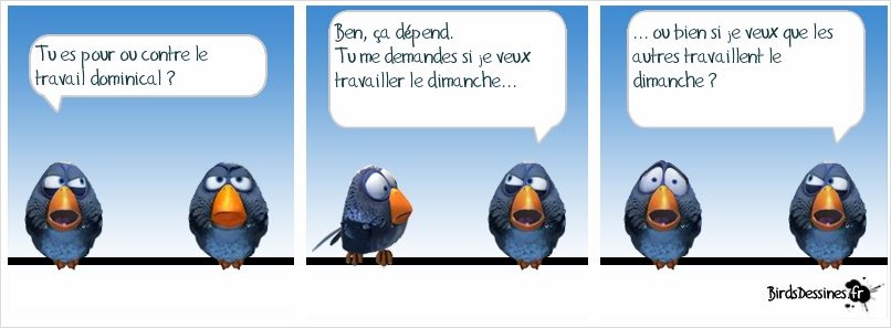 [JEUDI] - Les Birds - Page 9 2024-02-22-b-01