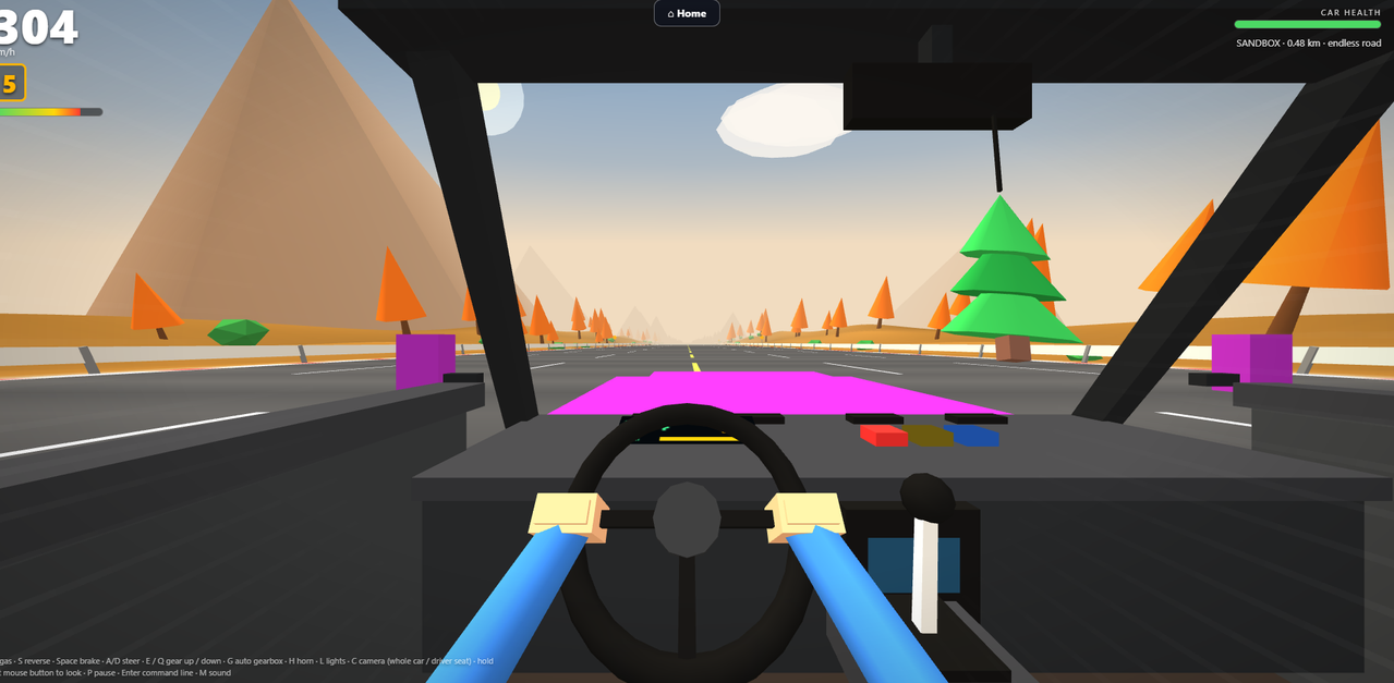 Driving in the car