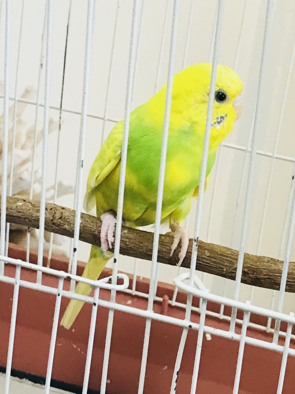 29646F9A-AE88-42DA-BF0D-E8BFC683726B