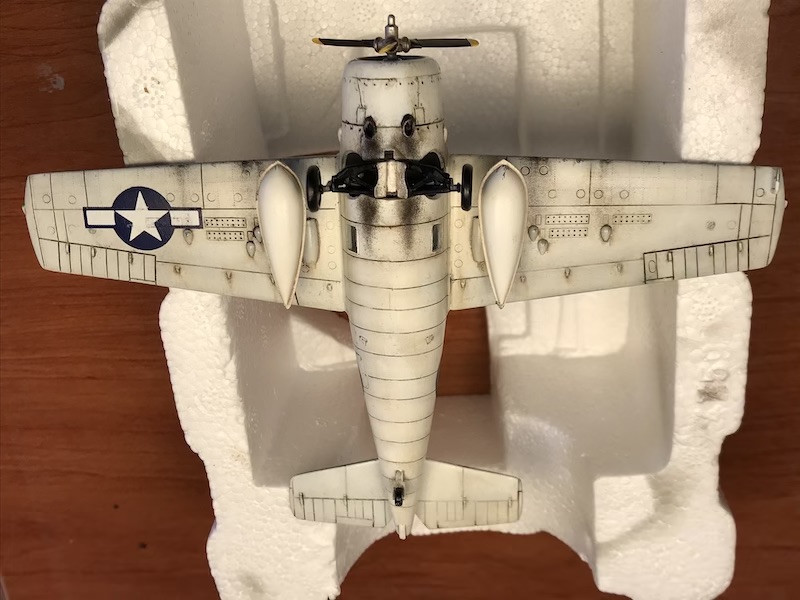 IMG_1557 αντίγραφο 2