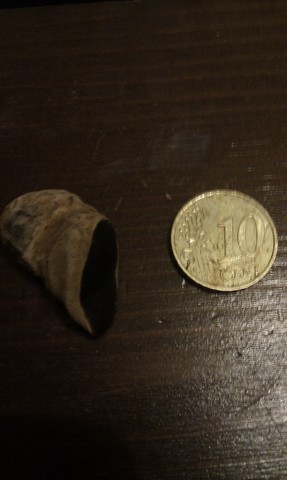 IMAG0429