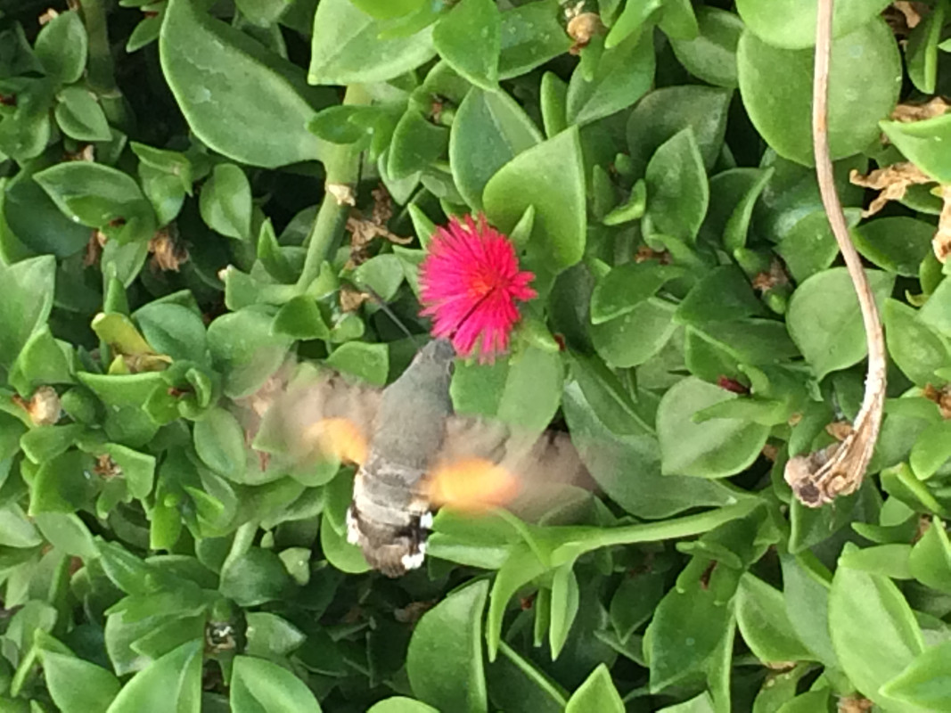 1414A865-4555-43CF-97BA-5034F4FC1DFF