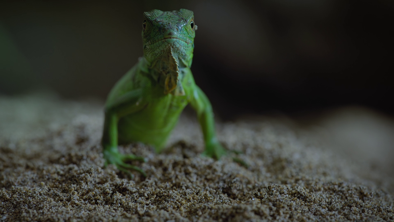 vlcsnap 2025 10 28 09h50m24s679