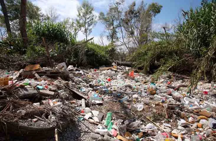 389-D6-A44-BBBF-4773-AE1-F-1-B49-F4-D888-B4