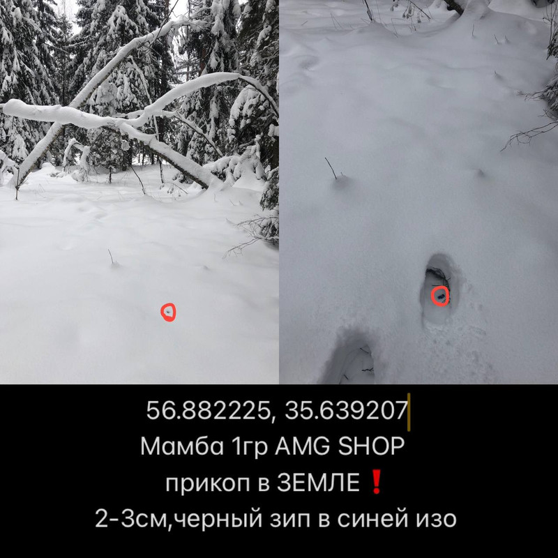 IMG 20260123 173343 778