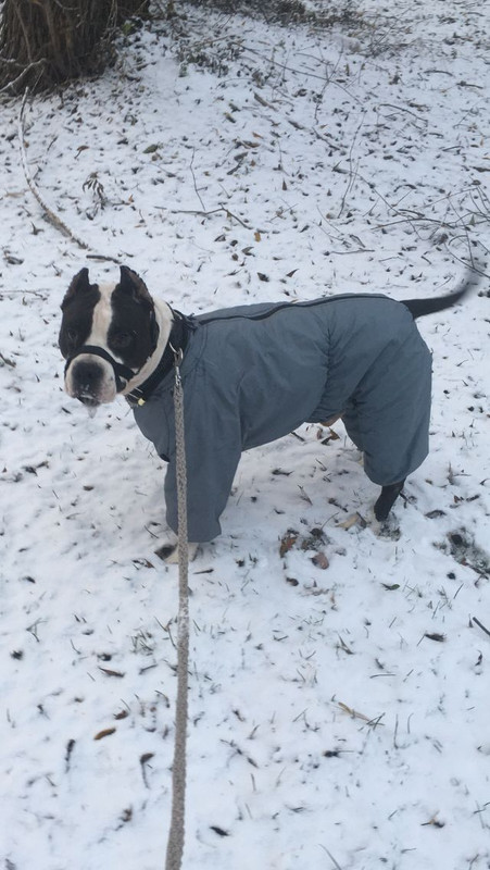 34292589-89A6-4027-8662-FE5684170C37