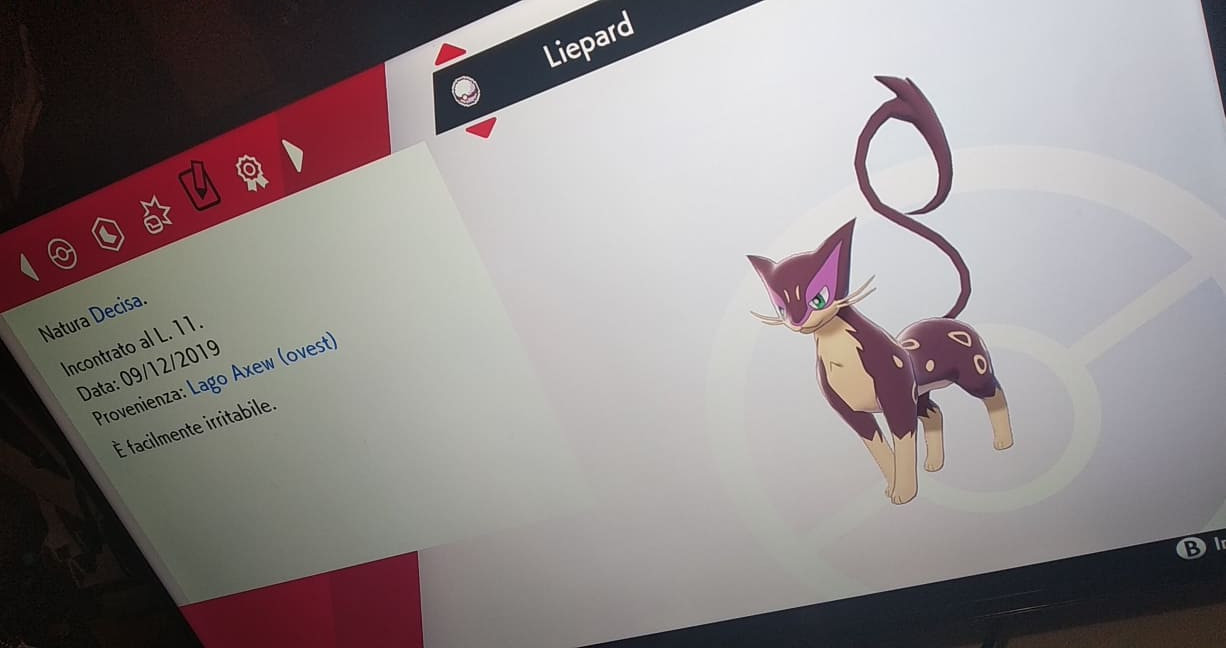 80883321_1002828080098767_6867970804466843648_n