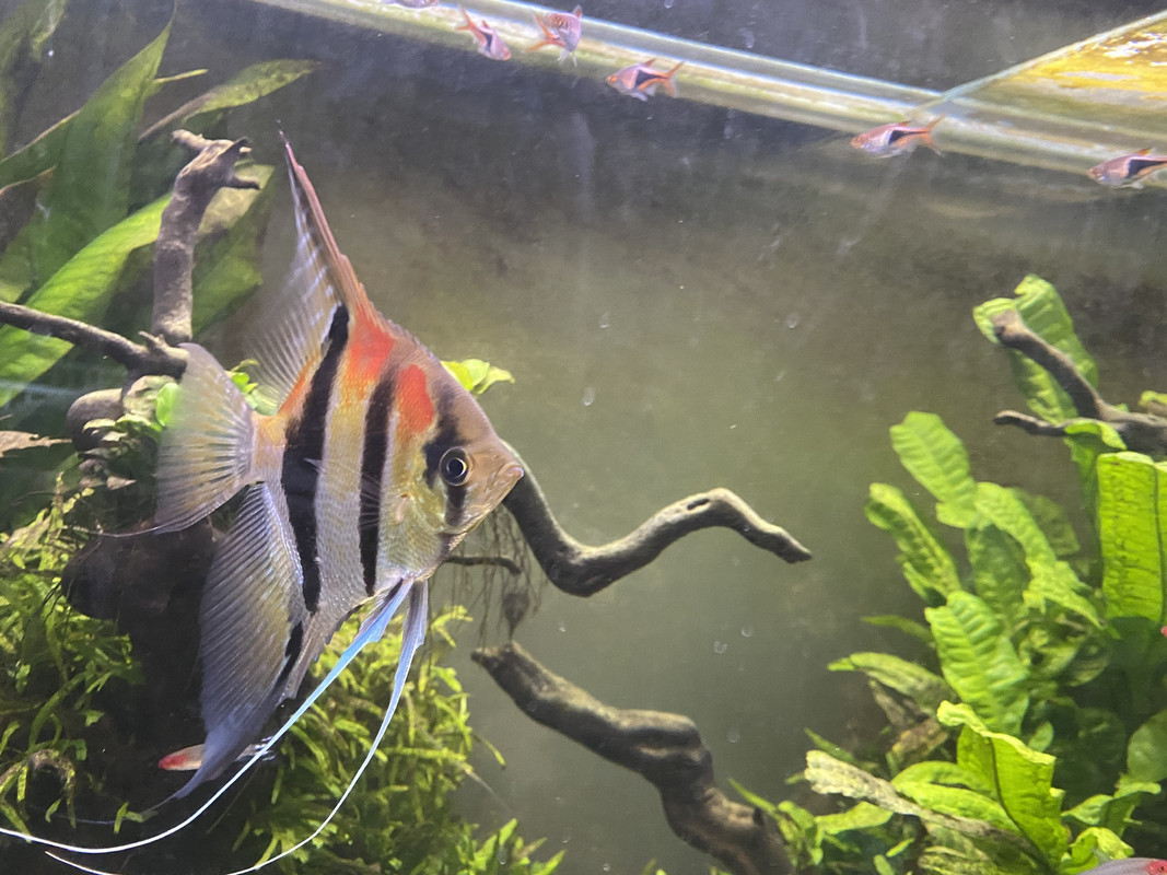 6A174CD6-4866-49DE-865D-89FB761DCAC4