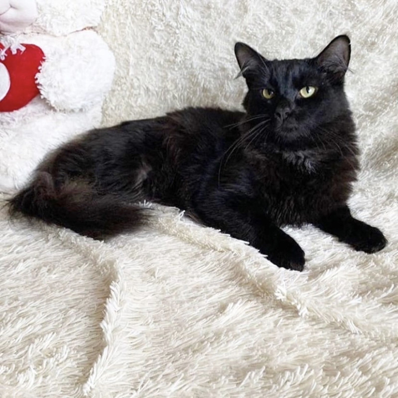 8230CCA3-21DC-4A62-93CA-CF4CD25674AD