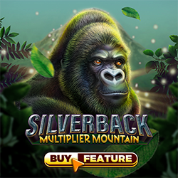 Silverback multiplier Mountain