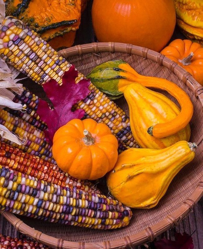 Screenshot_20231207_160532_Instagram