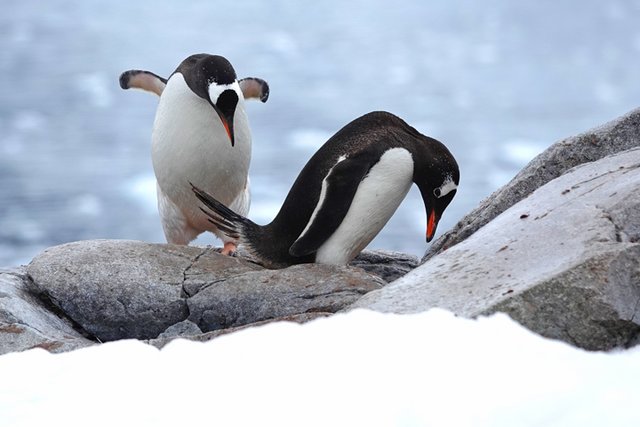 [Linked Image from i.postimg.cc]