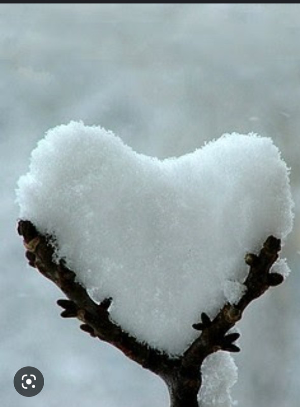 Screenshot_20221125-001803_Chrome