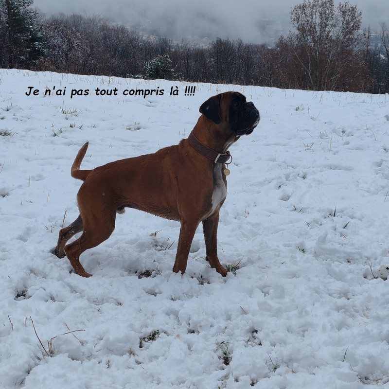 IMG-20260314 150510bb