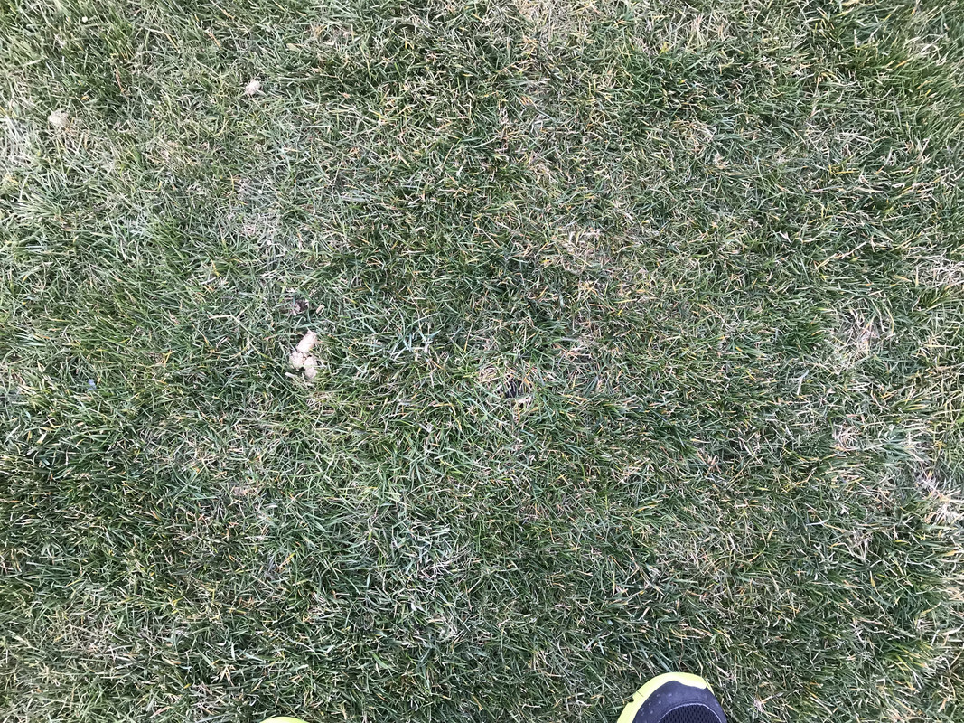 43AB8CC3-7C59-41E4-ADF5-5945342EAE24