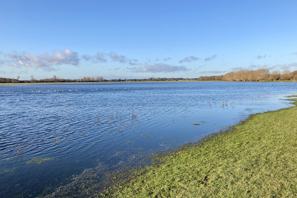 4B4817AF-B557-488D-9045-1D1D477DECAE