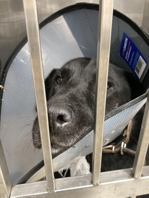 photo_2024-11-20_19-09-17 (2)