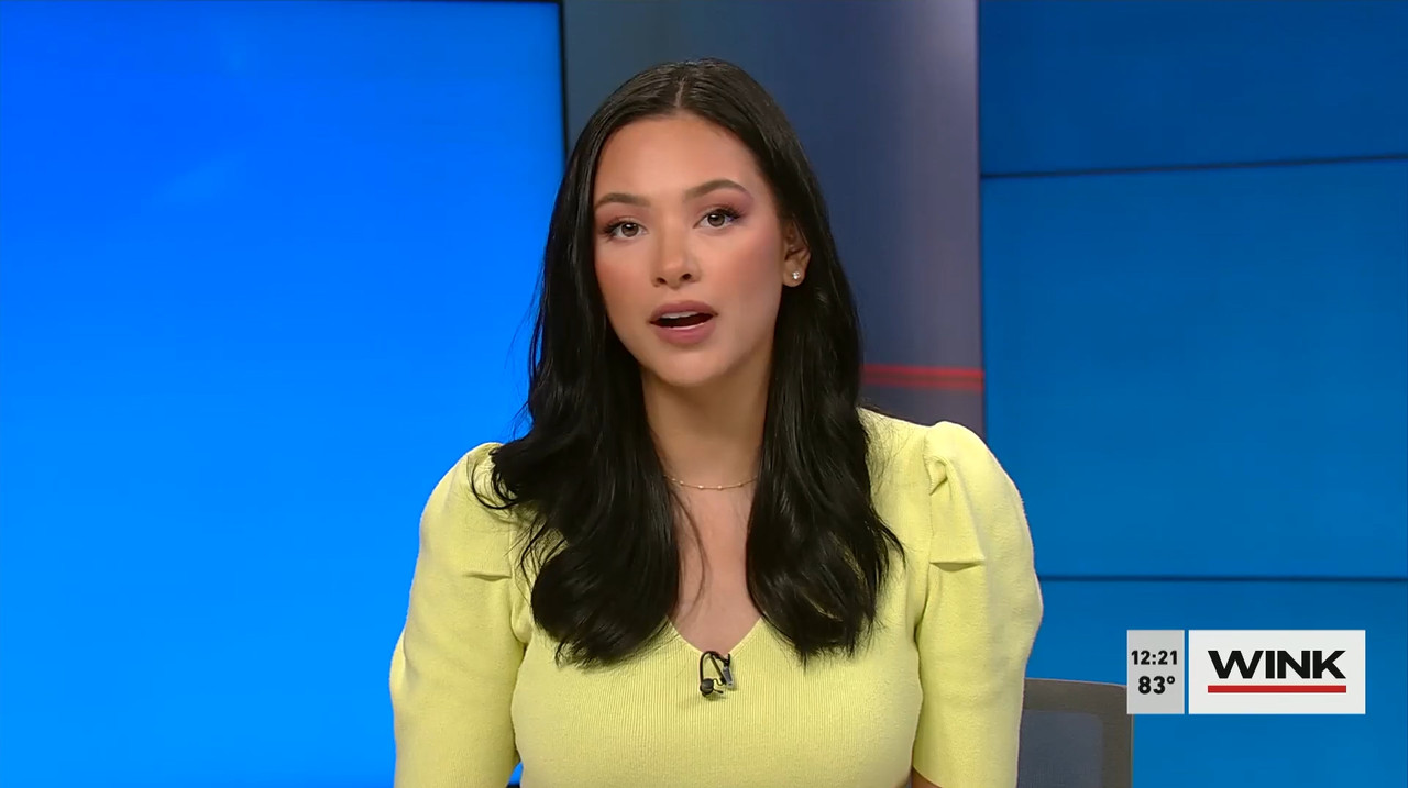03.29 - 17.00.00 - The Wink Noon News  ᴺᵉʷ. Midday News Update.-1.mp4_snapshot_28.18.319