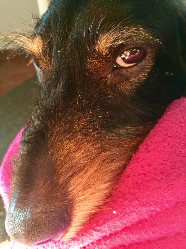 [Image: IMG-0141.jpg]