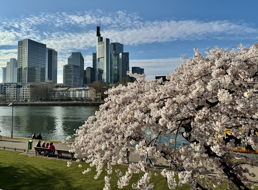 9CA3CDD8-F58A-4B92-92DC-759C2AD990C7_1_201_a