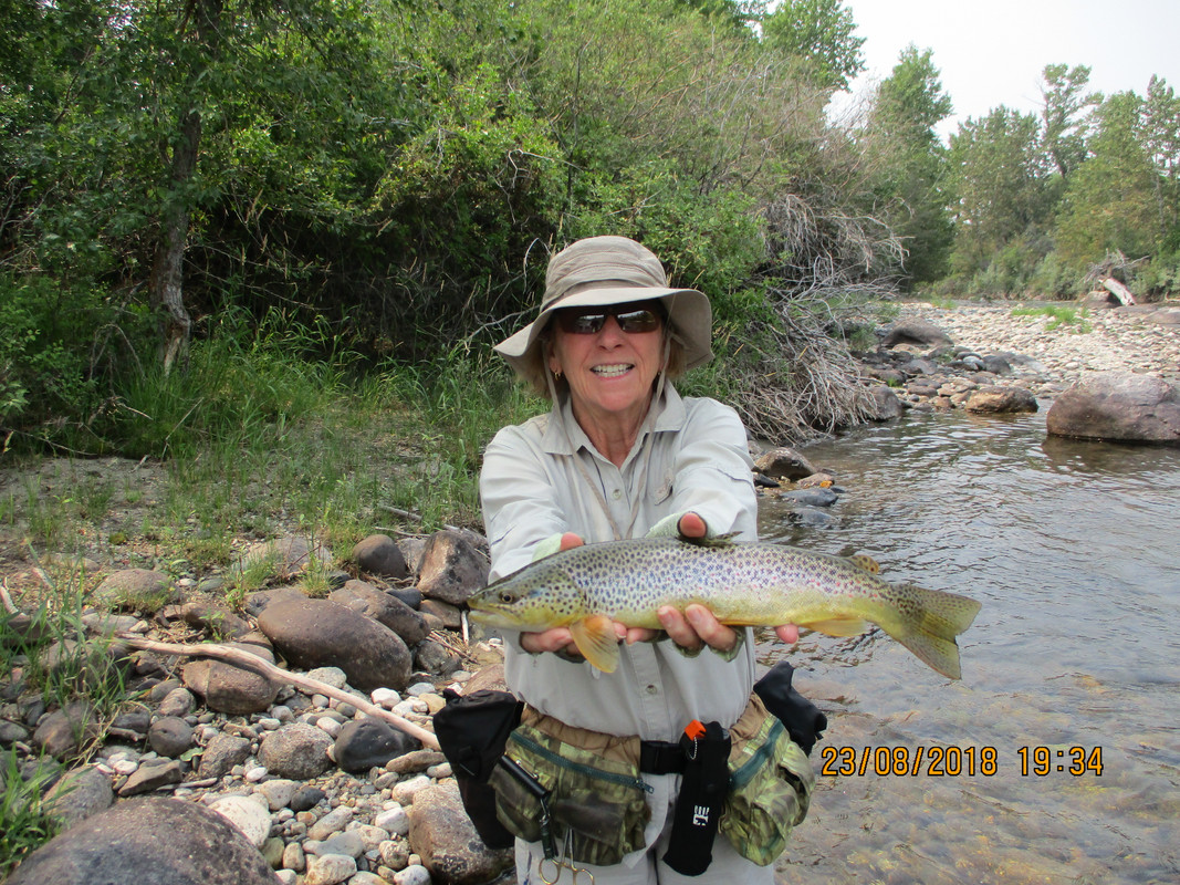 Martha on WB 8-24-18 012