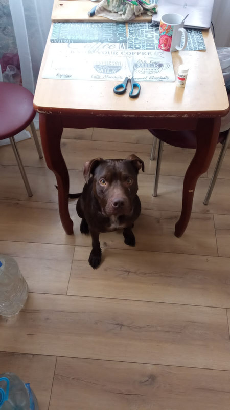 41D3EC42-B6A3-4009-A16E-ED5C055C0D47