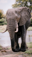 Moremi: la joya de la corona, donde te emocionarás a cada instante. - Botswana y Cataratas Victoria: la esencia de África y maravilla natural (9)