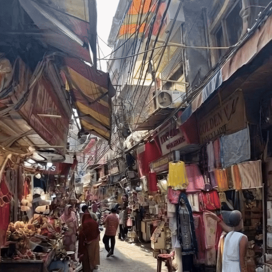 [Image: giff-10.gif]