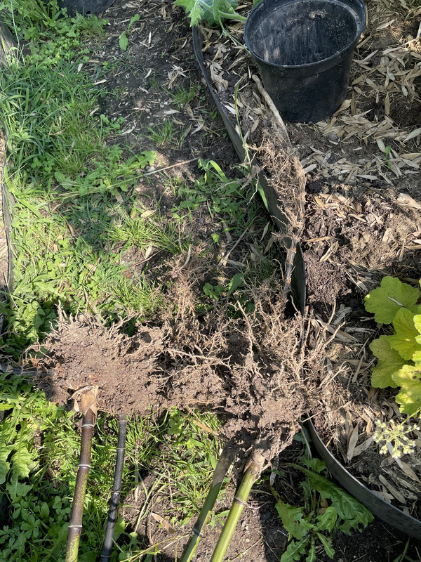 99C72F40-26F3-4AC4-A20A-B0DB4C20B9E0