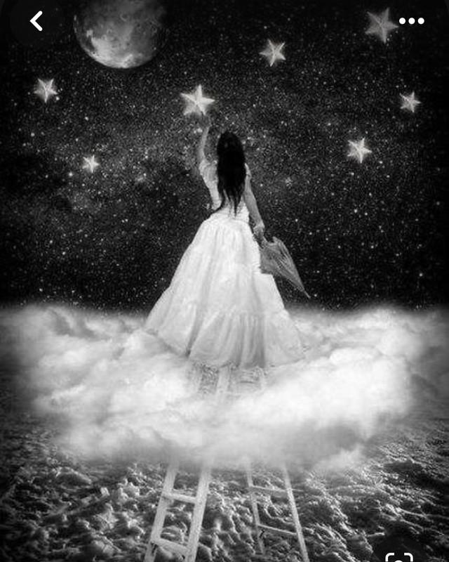 Screenshot_20231128_223733_Pinterest