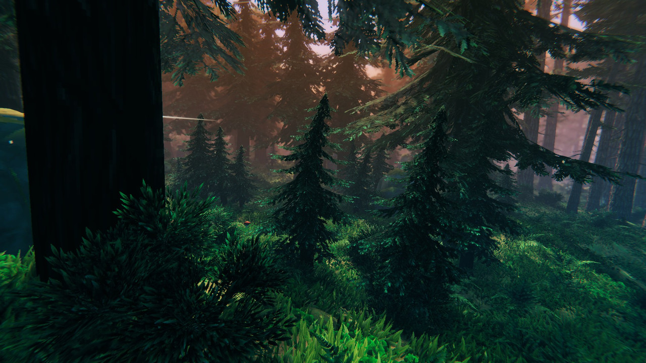 Black-Forest-1