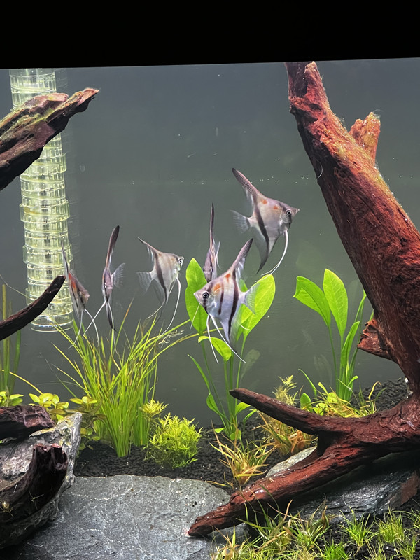 655BA205-7070-46BF-8BD8-8755B89D3EA2