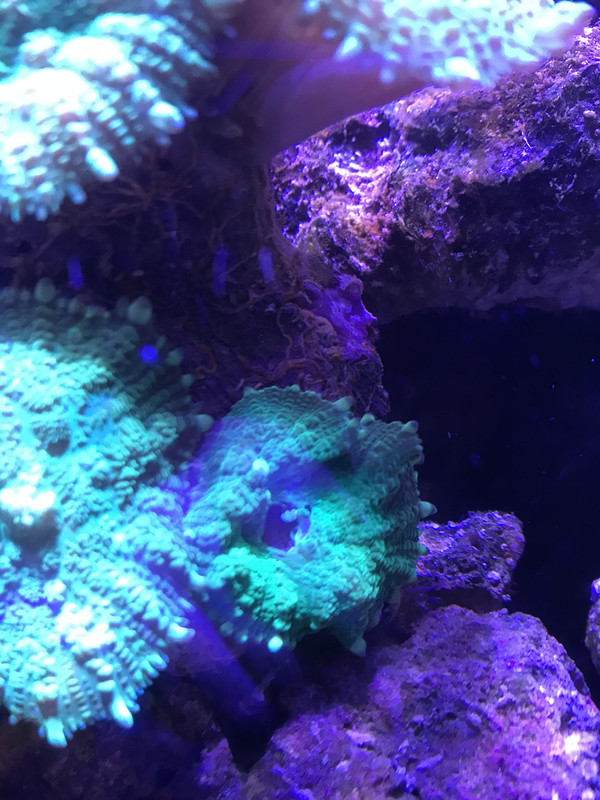 4DC6E434-744B-4AD0-AB96-69FE29730327