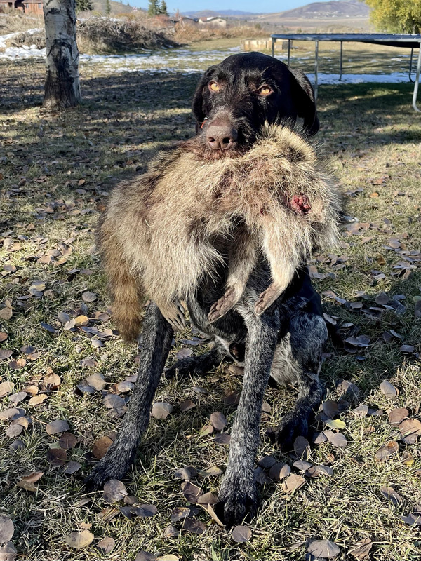 94760F4B-DC2F-4D30-B8DC-7B0F8CE87ED3