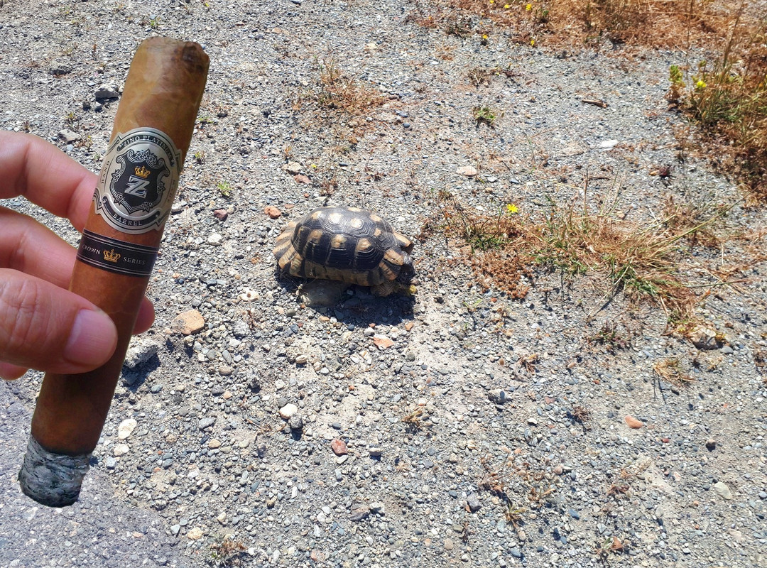 zino platinum crown barrel