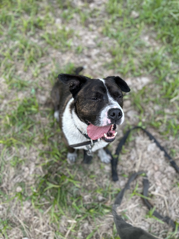 F09BB215-D53C-4326-89A9-4D16FB3F6E69